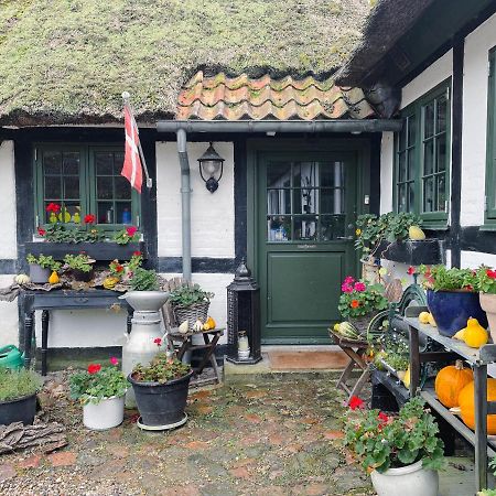 The Foresters House- Idyllic Tranquility- Non Smokers Only Store Heddinge Eksteriør bilde