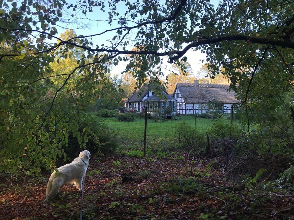 The Foresters House- Idyllic Tranquility- Non Smokers Only Store Heddinge Eksteriør bilde