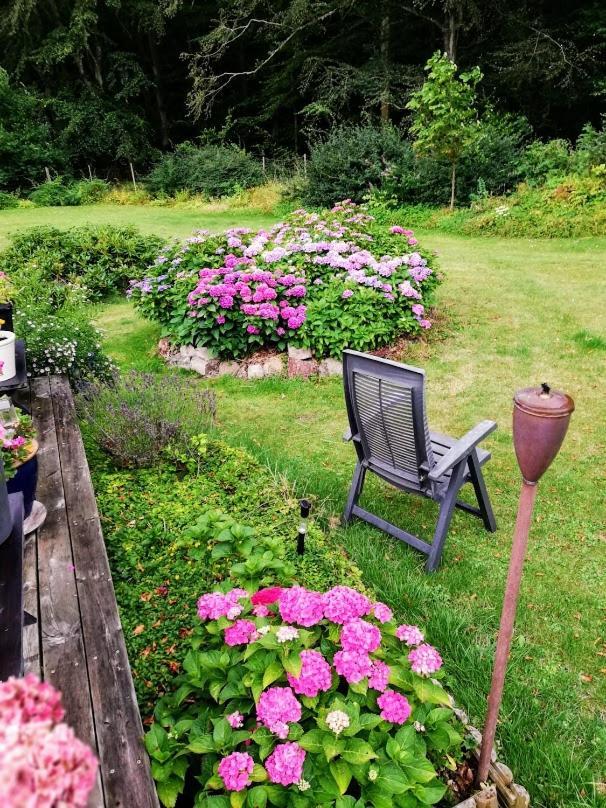 The Foresters House- Idyllic Tranquility- Non Smokers Only Store Heddinge Eksteriør bilde