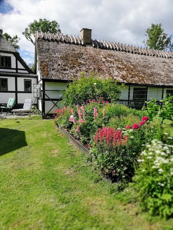 The Foresters House- Idyllic Tranquility- Non Smokers Only Store Heddinge Eksteriør bilde