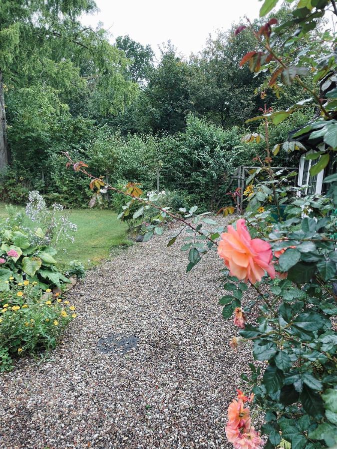 The Foresters House- Idyllic Tranquility- Non Smokers Only Store Heddinge Eksteriør bilde