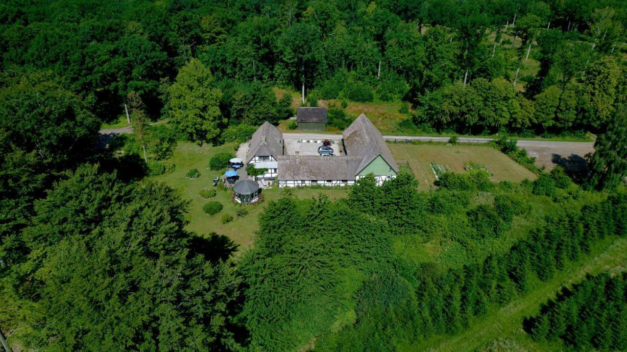 The Foresters House- Idyllic Tranquility- Non Smokers Only Store Heddinge Eksteriør bilde